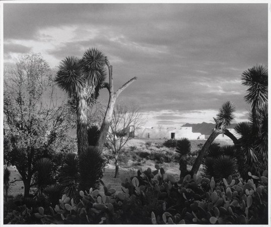 PAUL STRAND Near Saltillo, Mexico, 1932