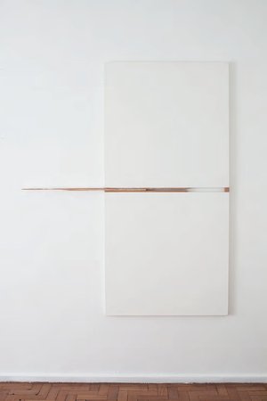 Fernanda Gomes, Untitled, 2011