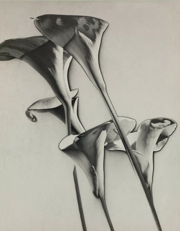 Erotic Artwork - Flower Porn: 9 Erotic Portraits of Plants by Famous Artists ...