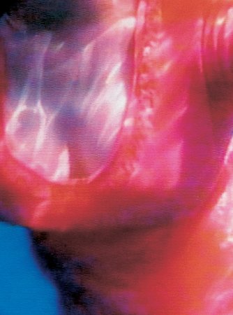 Pipilotti Rist, Sip My Ocean, 1996