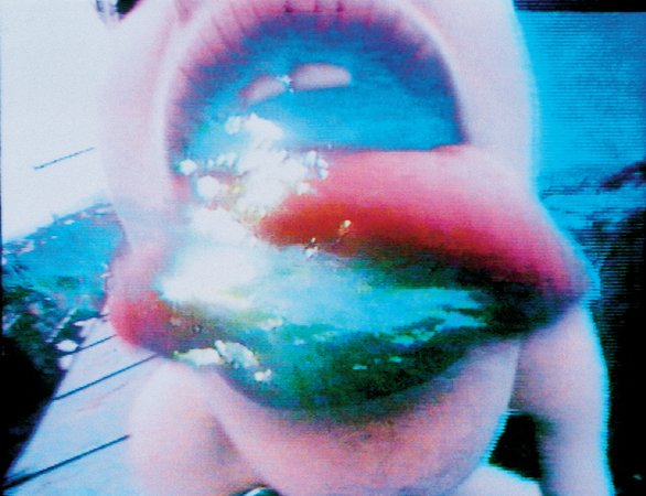 Pipilotti Rist, Pickelporno (Pimple Porno), 1992