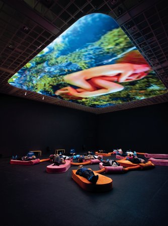 Pipilotti Rist, Homo Sapiens Sapiens, 2005. Installation view: â€œThe World Is Yours: Pipilotti Rist â€“ Homo Sapiens Sapiens,â€ Louisiana Museum of Modern Art, HumlebÃ¦k, Denmark, 2010