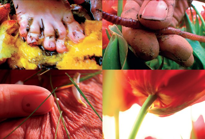 Pipilotti Rist, LungenfluÌˆgel (Lobe of the Lung), 2009 (stills)