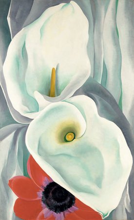 Georgia O'Keeffe, Calla Lilies with Red Anemone, 1928