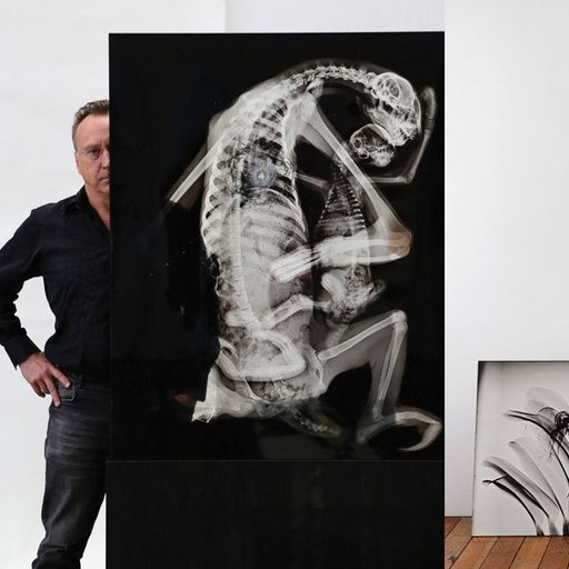 Straight from the Studio: Steve Miller X-Rays