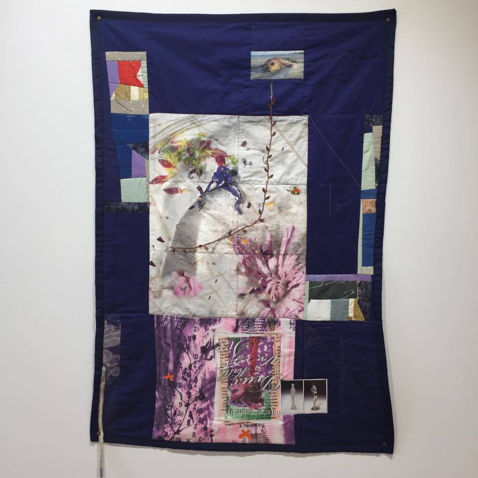 Erin Jane Nelson, IgLK [Indigo Lick], 2015