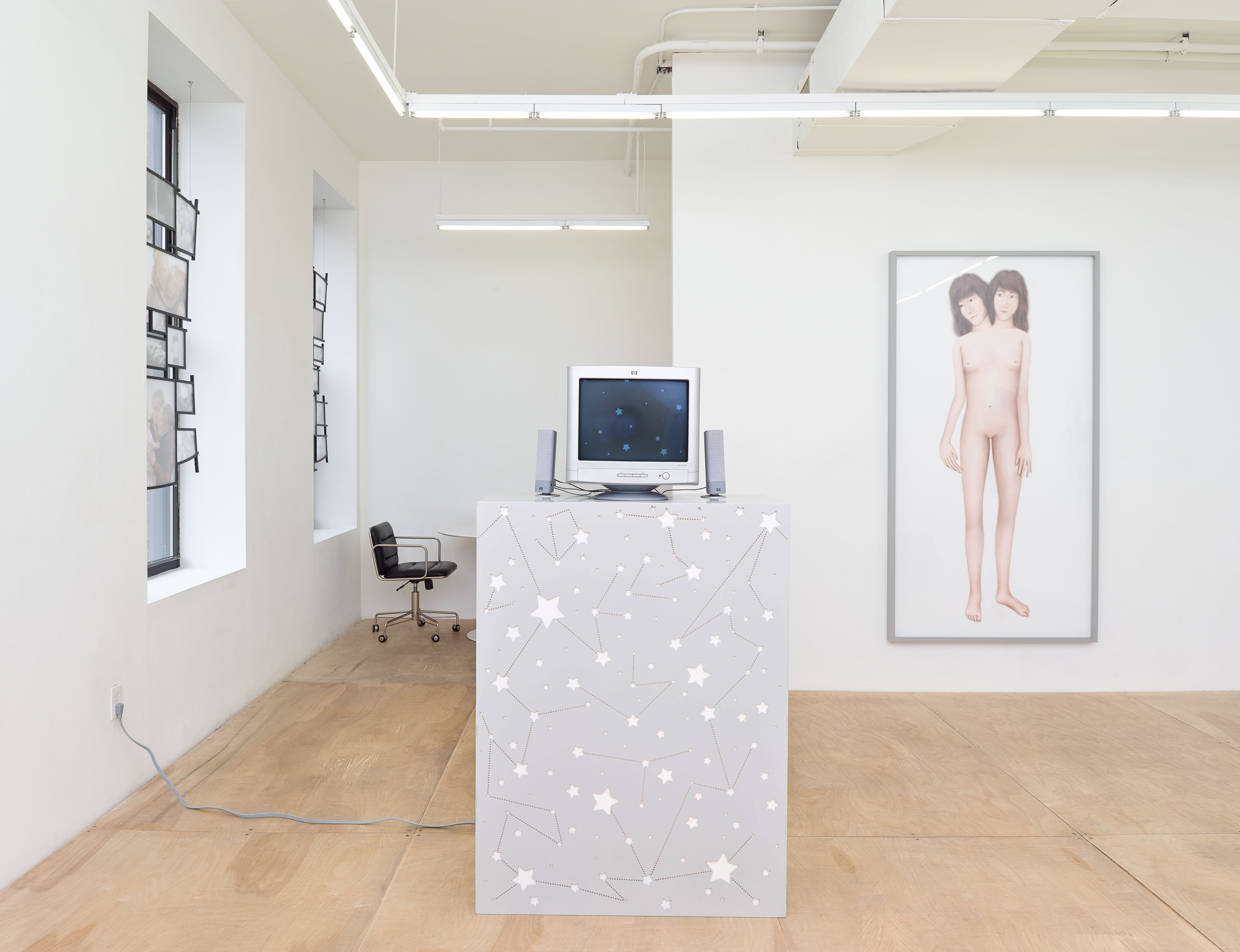 Installation view of "Joined for Life" at Downs & Ross