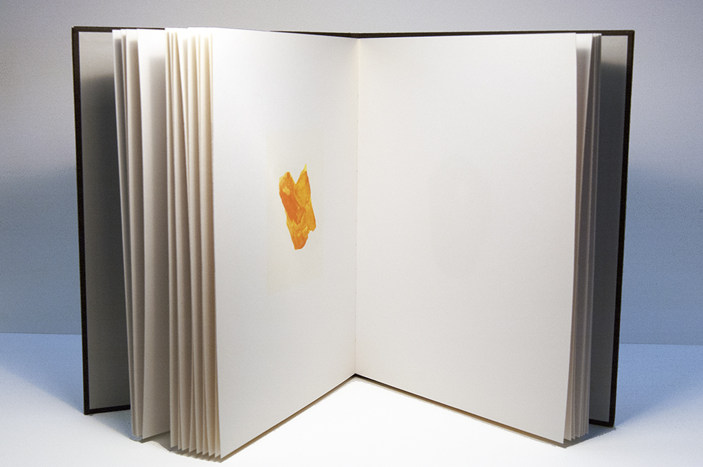 roni horn book