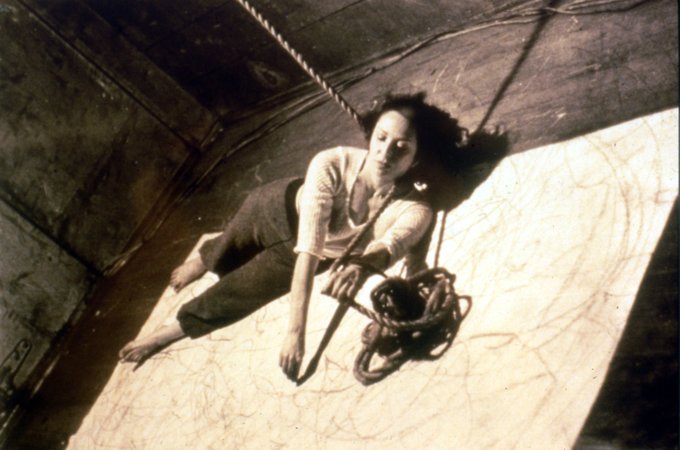 Carolee Schneemann, Up to and Including Her Limits , (1976)
