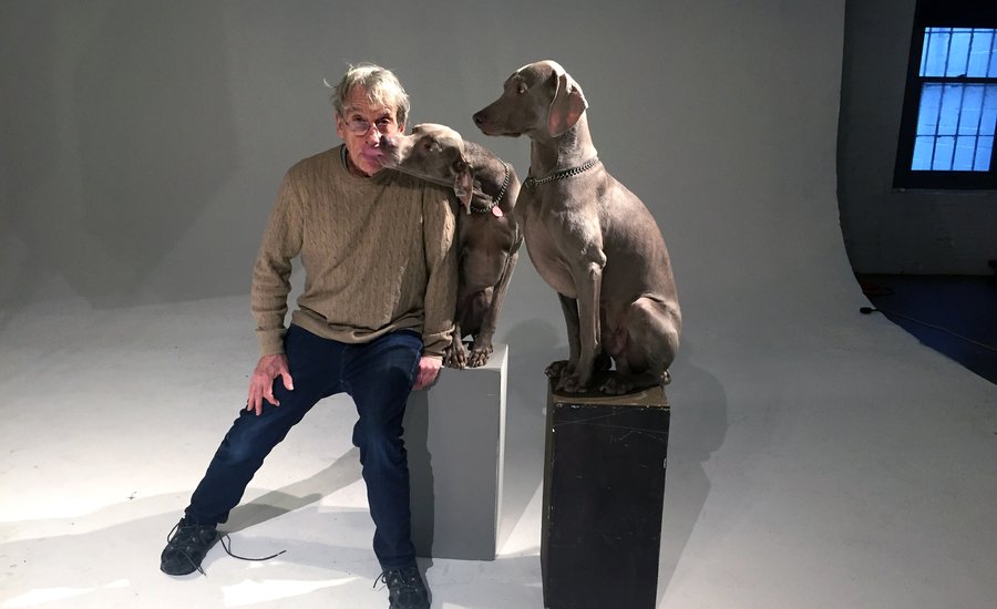 From California Conceptualism to Weimaraners in Wigs: A Studio Visit with William Wegman