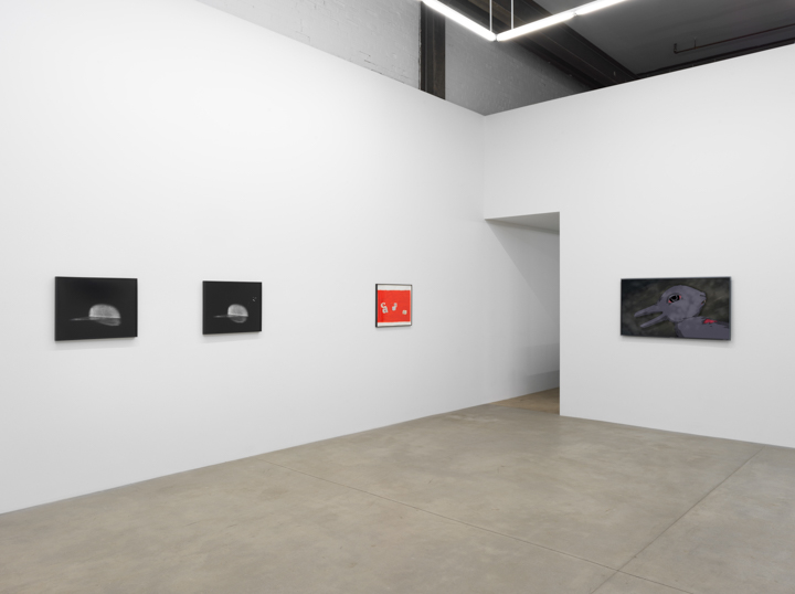 Installation view of "In the Air." Photo courtesy of Koenig & Clinton