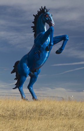 Blue Mustang