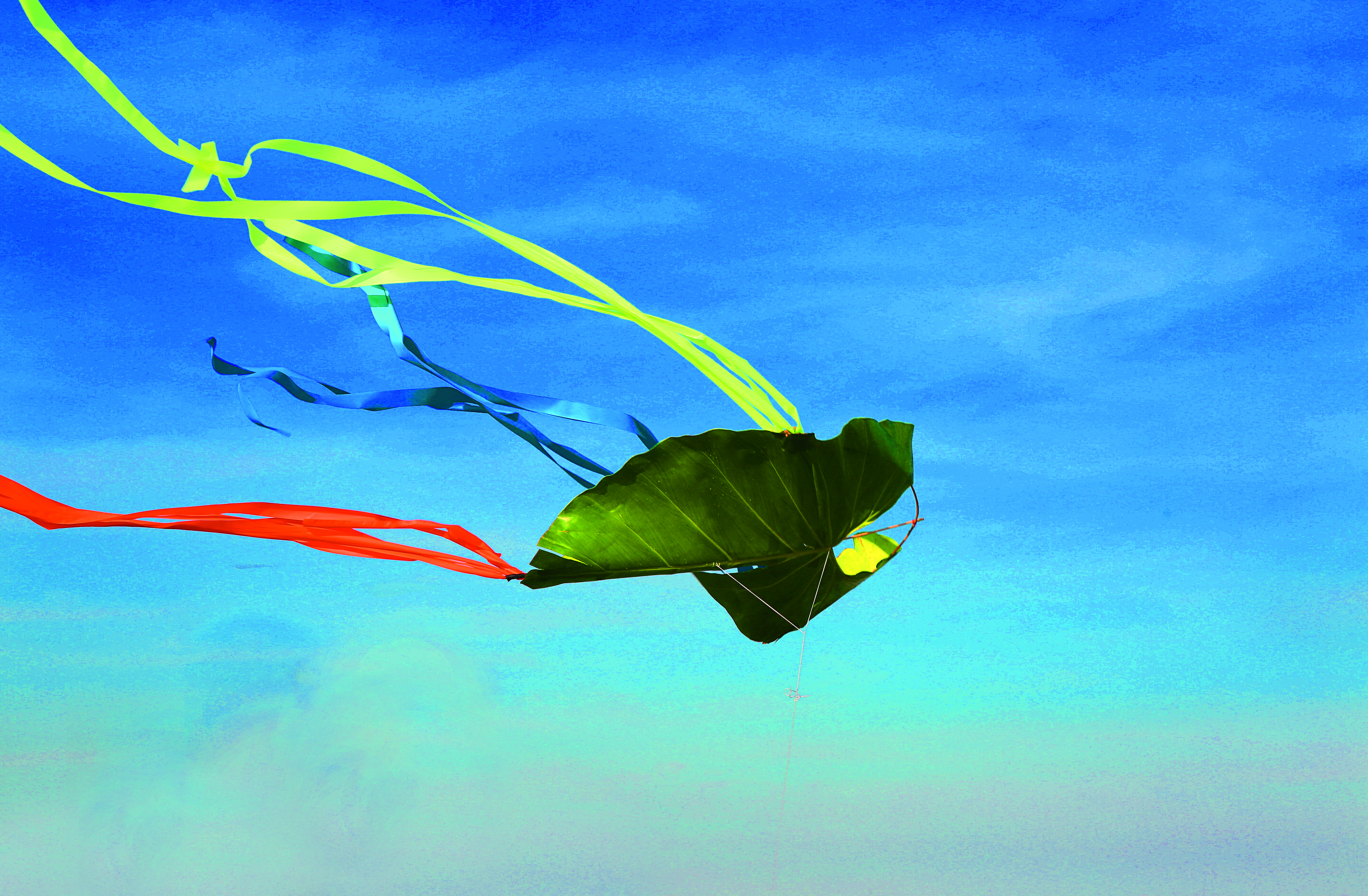 Wife NYC (Sophia Parker, New York): leaf kite in flight, from an exhibition of Parker's le