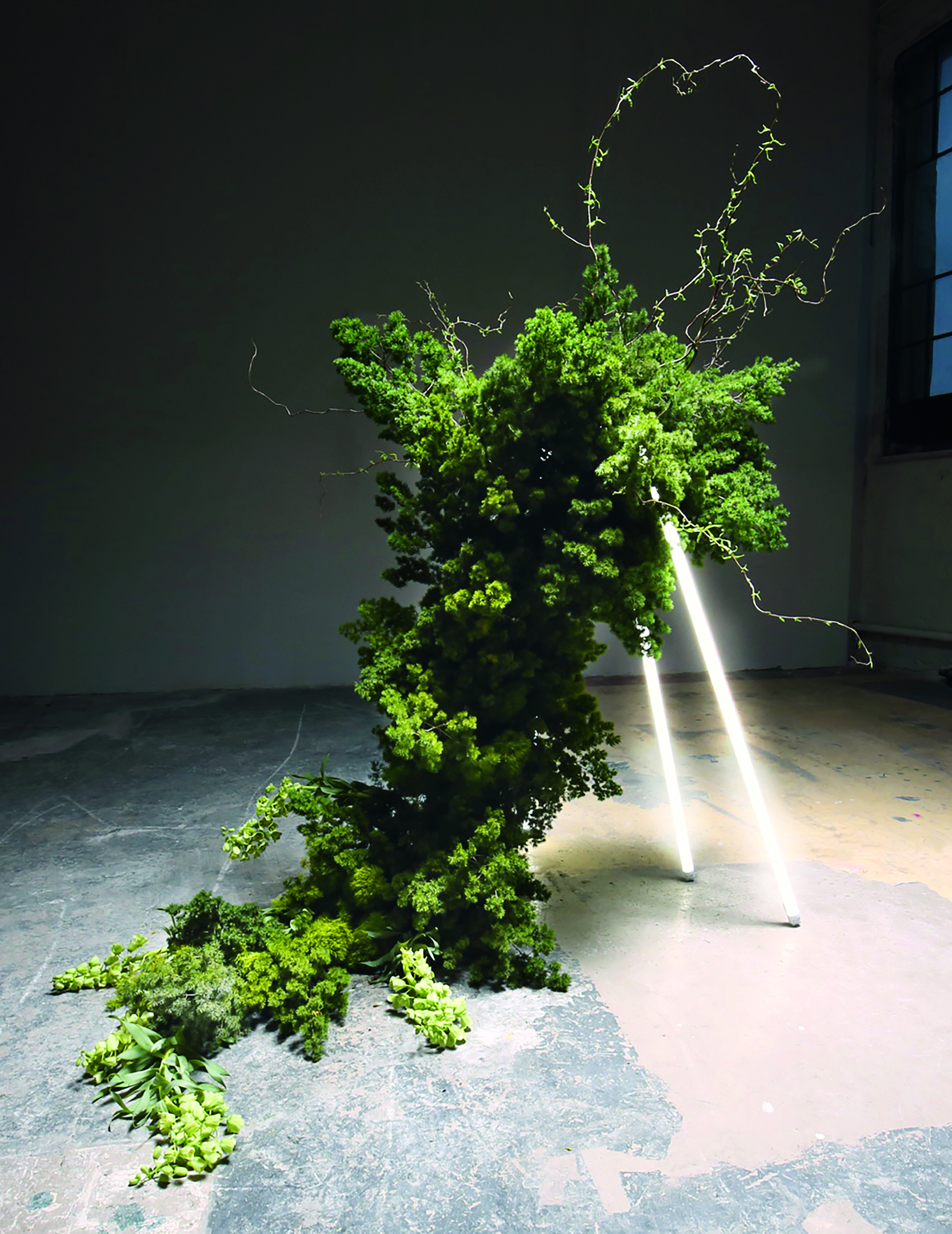 Coyote Flowers (Lauren Sellen, Toronto, Ontario): sculptural composition of organic materi