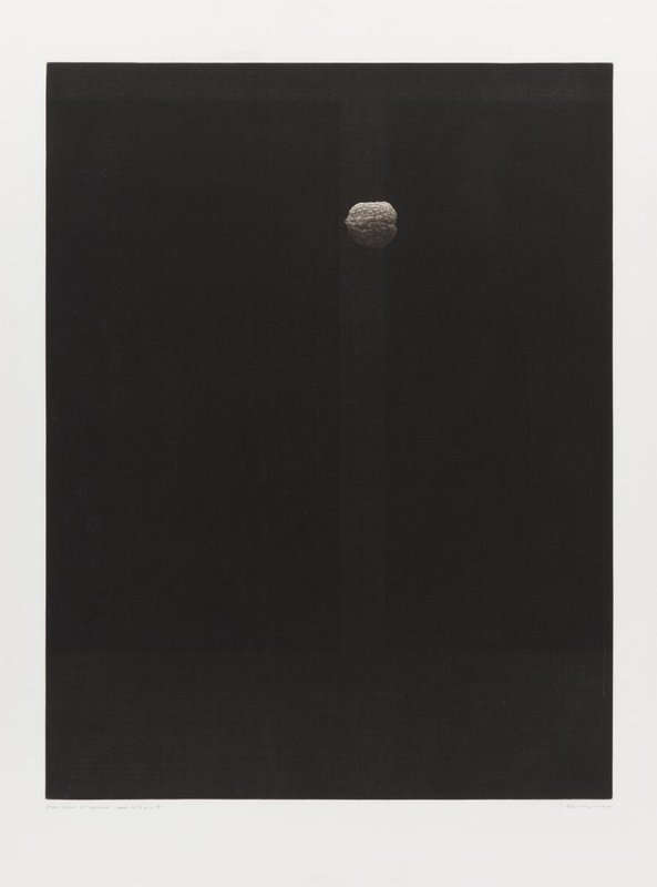 Walnut, 1979, Mezzotint, 29.73" x 22.25", $7200, available now at Artspace