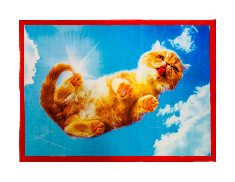 Ginger Cat Appreciation (Memes, Snaps, And Pics) - I Can Has Cheezburger?