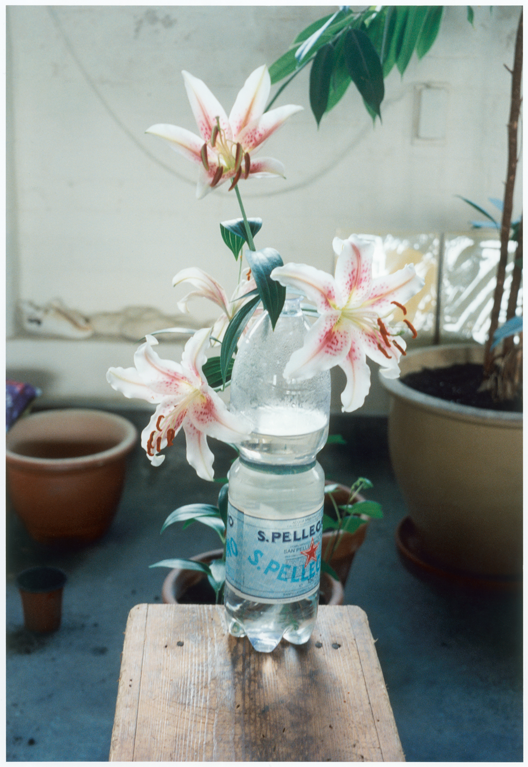 Podium, 1999, by Wolfgang Tillmans