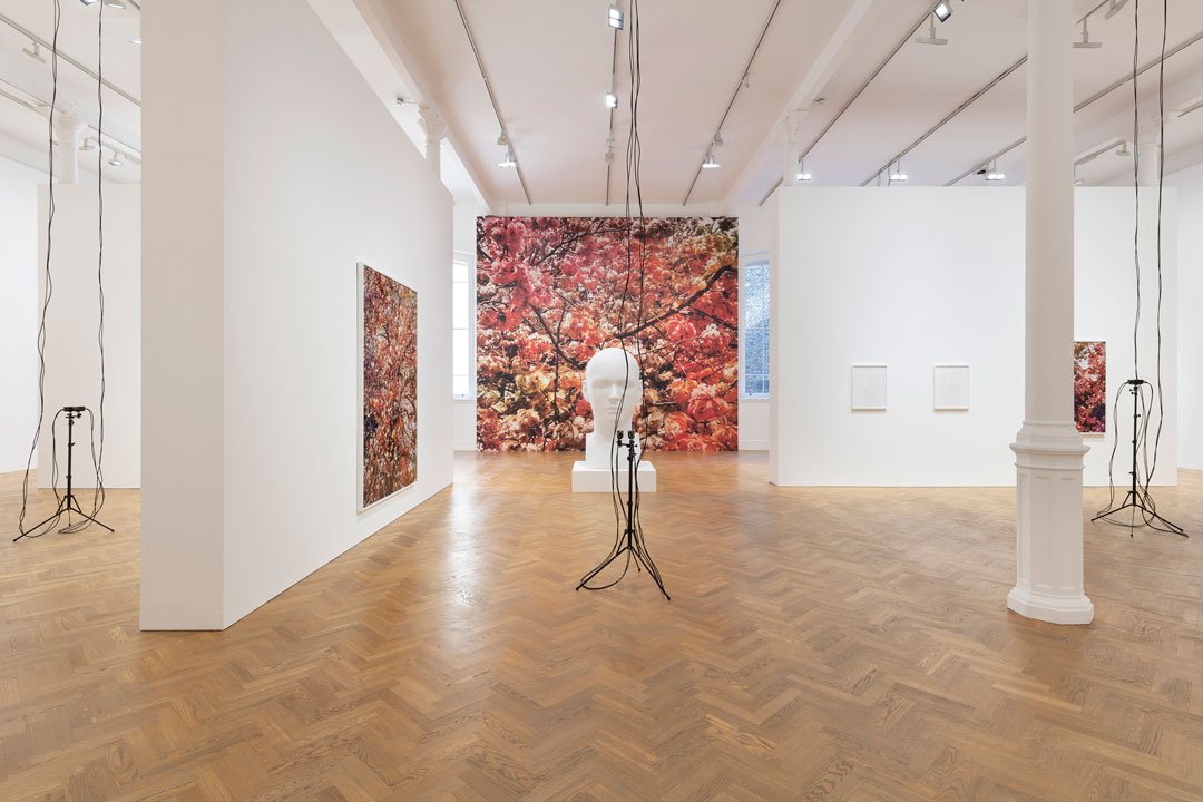 Installation view of Bloom, Trevor Paglen's new exhibition at Pace in London, September 20