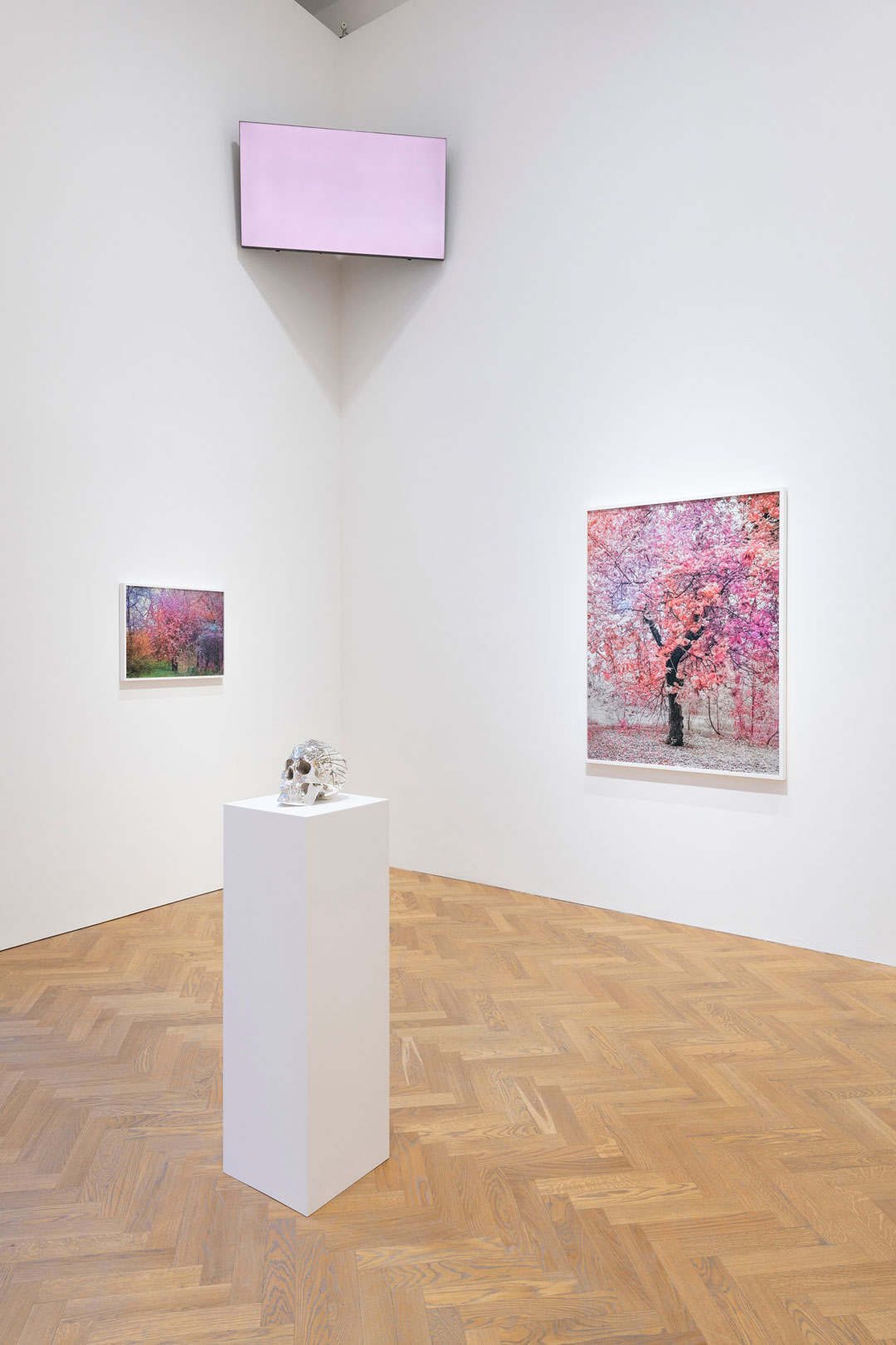 Installation view of Bloom, Trevor Paglen's new exhibition at Pace in London,