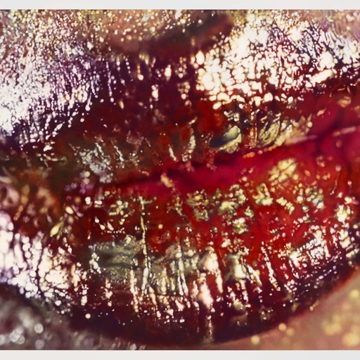 image for:Is that really Wangechi Mutu in the new Marilyn Minter edition?