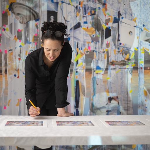 Sarah Sze: ‘The edition is super important to me in terms of its collaging aspects. If you look at …