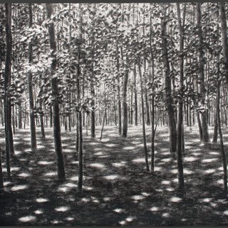 April Gornik, Light in the Woods