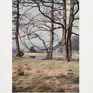 Sightlines: Rydal Water art for sale