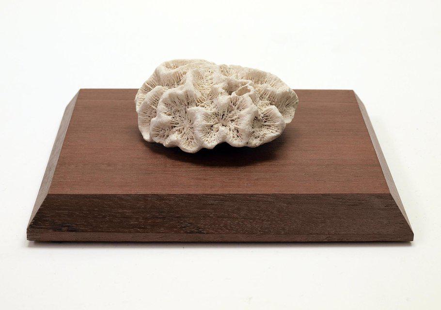 Adja Yunkers - Untitled (Small Sculpture), Sculpture