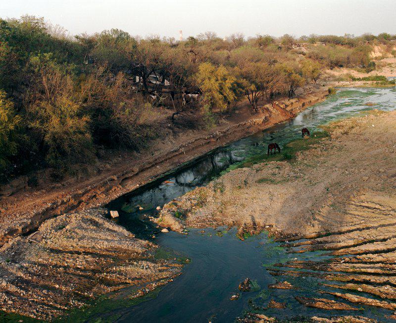 ALEJANDRO CARTAGENA - Lost Rivers #16, 2009