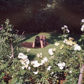 Alexis Courtney, Laying in a Bed of Roses
