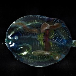 Untitled (Flounder) art for sale