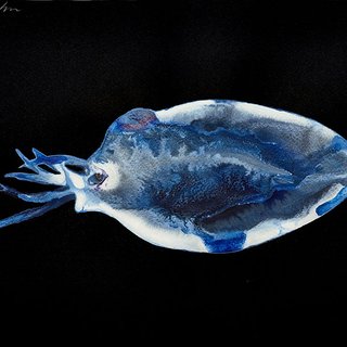 Alexis Rockman, Untitled (Squid Larvae 2)