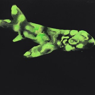 Untitled (Bio-Flourescent-Shark) art for sale