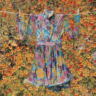 Dress by Nicholas Ghesquiere for Balenciaga, from "Hanging Gardens: When the Bloom is on the Line,"  art for sale