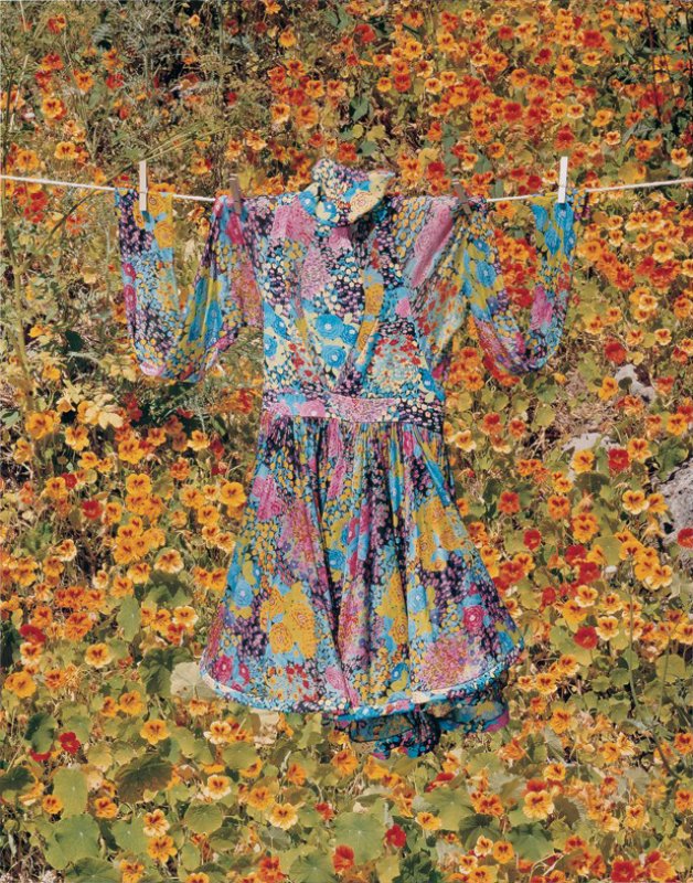 natuurlijk gemeenschap voorbeeld Alfred Seiland - Dress by Nicholas Ghesquiere for Balenciaga, from "Hanging  Gardens: When the Bloom is on the Line" for Sale | Artspace