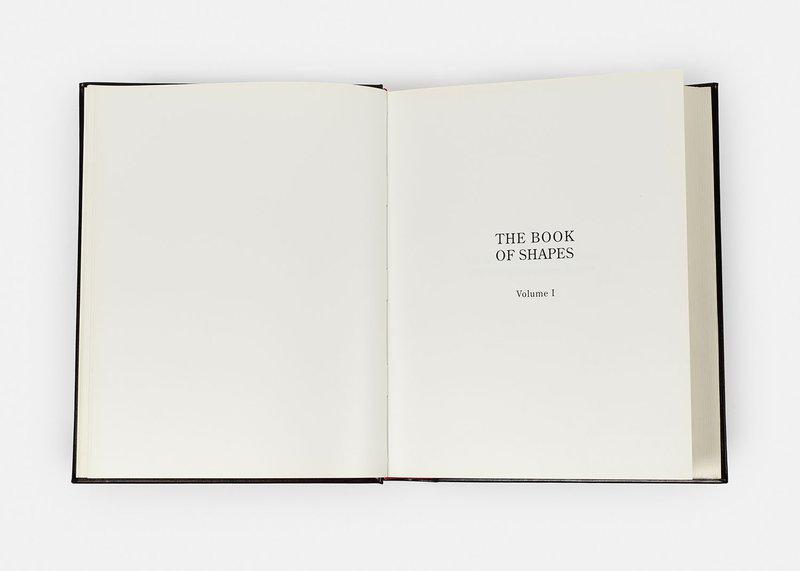 view:51696 - Allan McCollum, The Book of Shapes - 