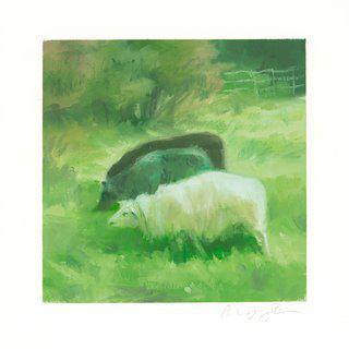 Amanda Joy Brown, Phthalo-Sheep