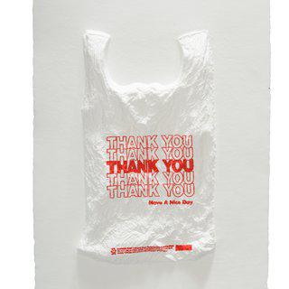 THANK YOU THANK YOU THANK YOU THANK YOU THANK YOU Have a Nice Day Plastic Bag art for sale