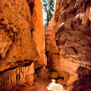 Navajo Trail Cavern art for sale