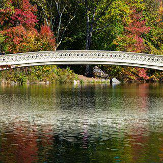 Panoramic View of Bow Bridge in Autumn art for sale
