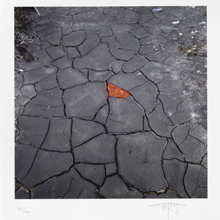 Andy Goldsworthy, Red leaves on cracked earth