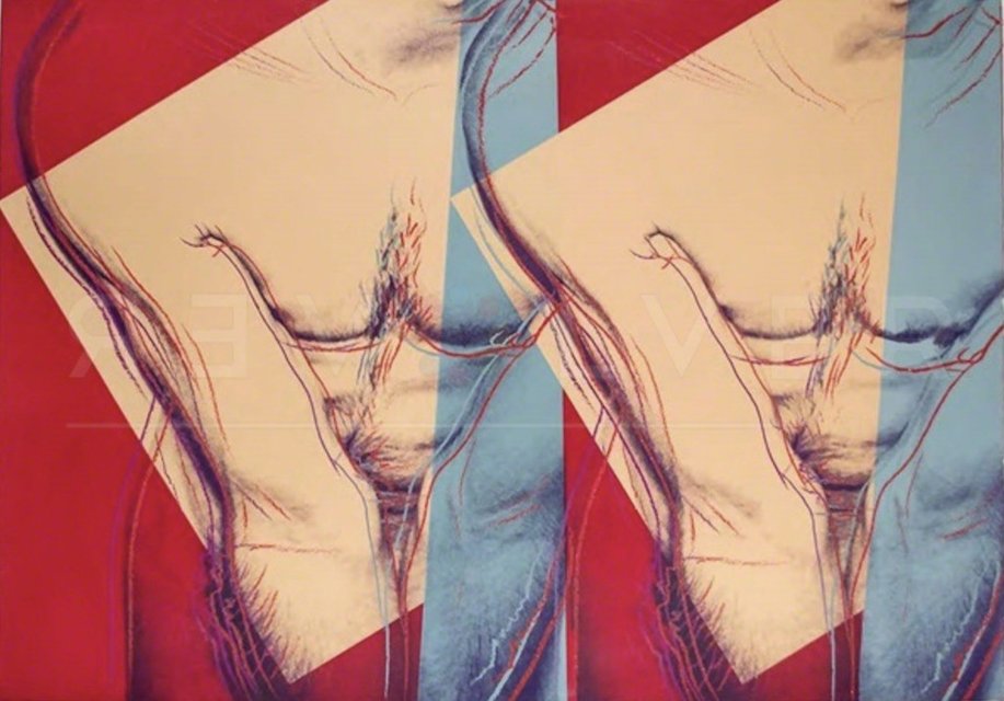 Andy Warhol - Torso (double) (FS IIIA.35), Print