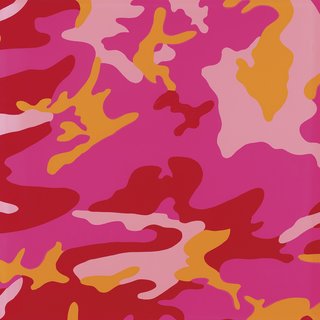 Andy Warhol, Camouflage FS II.408