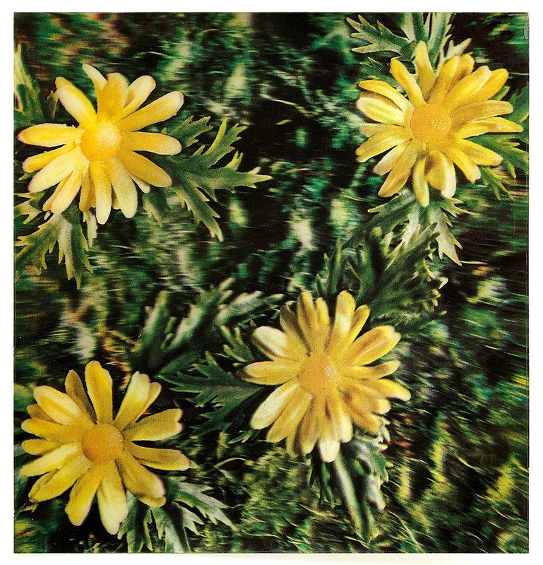 view:53609 - Andy Warhol, Rain Flowers - 