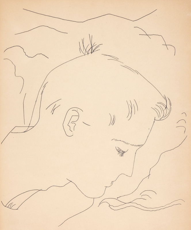 view:66568 - Andy Warhol, Montain Boy - 