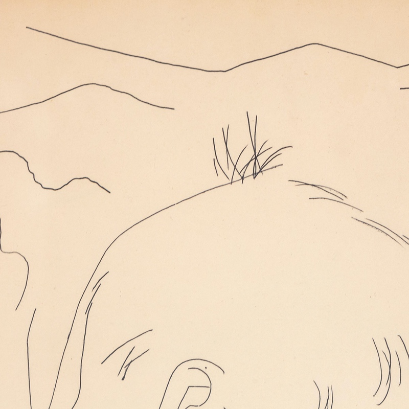 view:66575 - Andy Warhol, Montain Boy - 