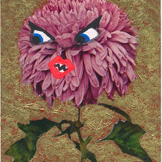 Chrysanthemum Challenged art for sale