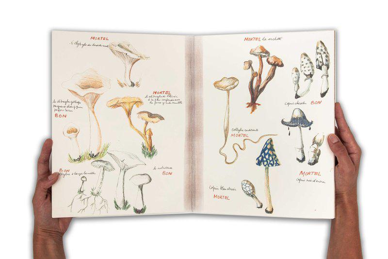 view:35964 - Annette Messager, Ma collection de champignons bons et de champignons mortels - 