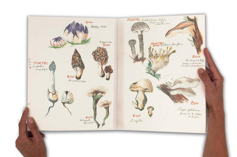 view:35965 - Annette Messager, Ma collection de champignons bons et de champignons mortels - 