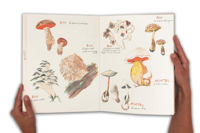 view:35966 - Annette Messager, Ma collection de champignons bons et de champignons mortels - 